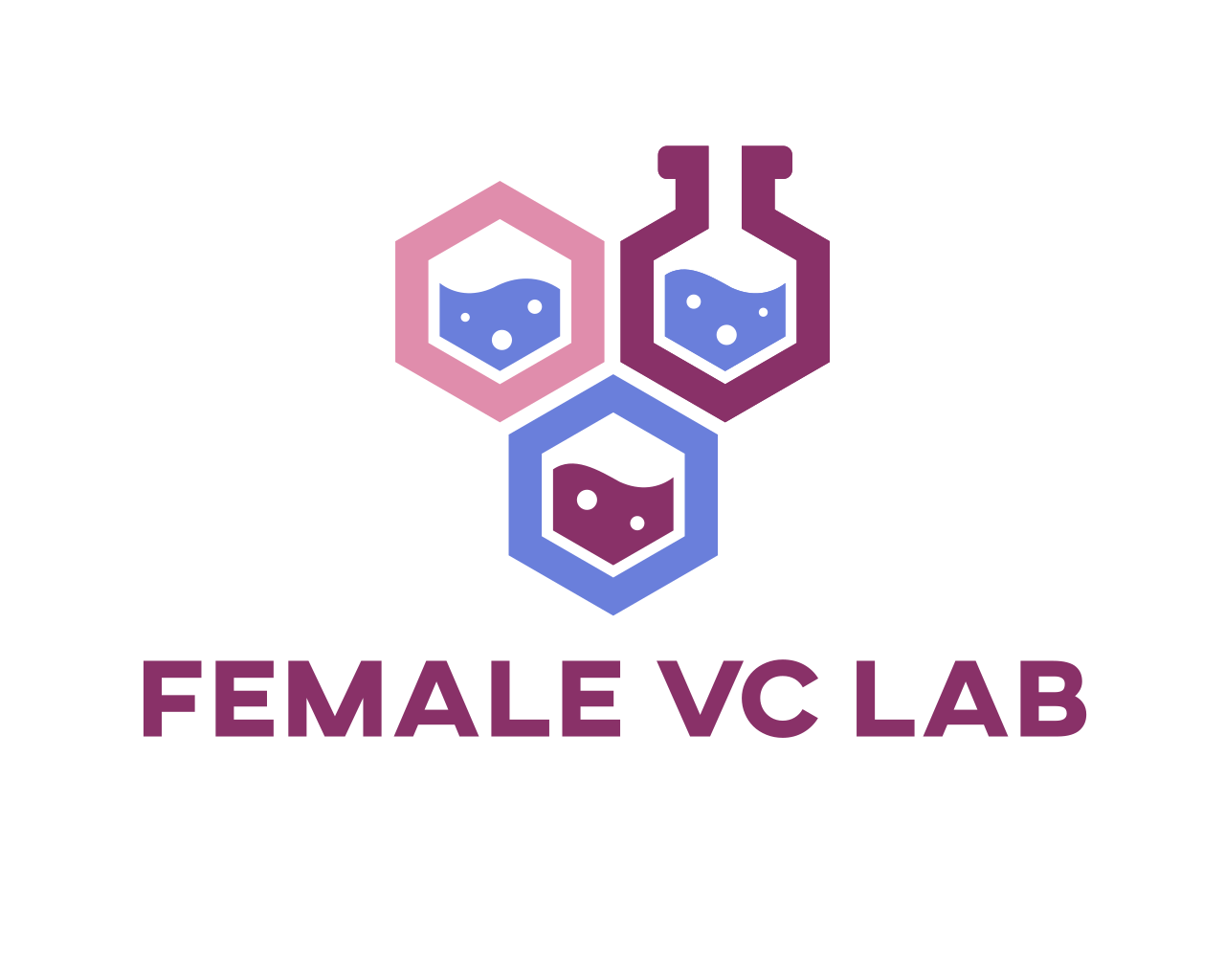 The Female VC Lab Podcast's 2023 Journey & Future Preview post image